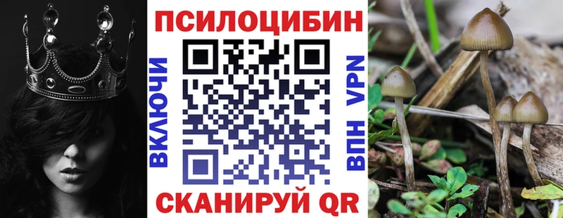 Псилоцибиновые грибы мицелий  Ивангород 